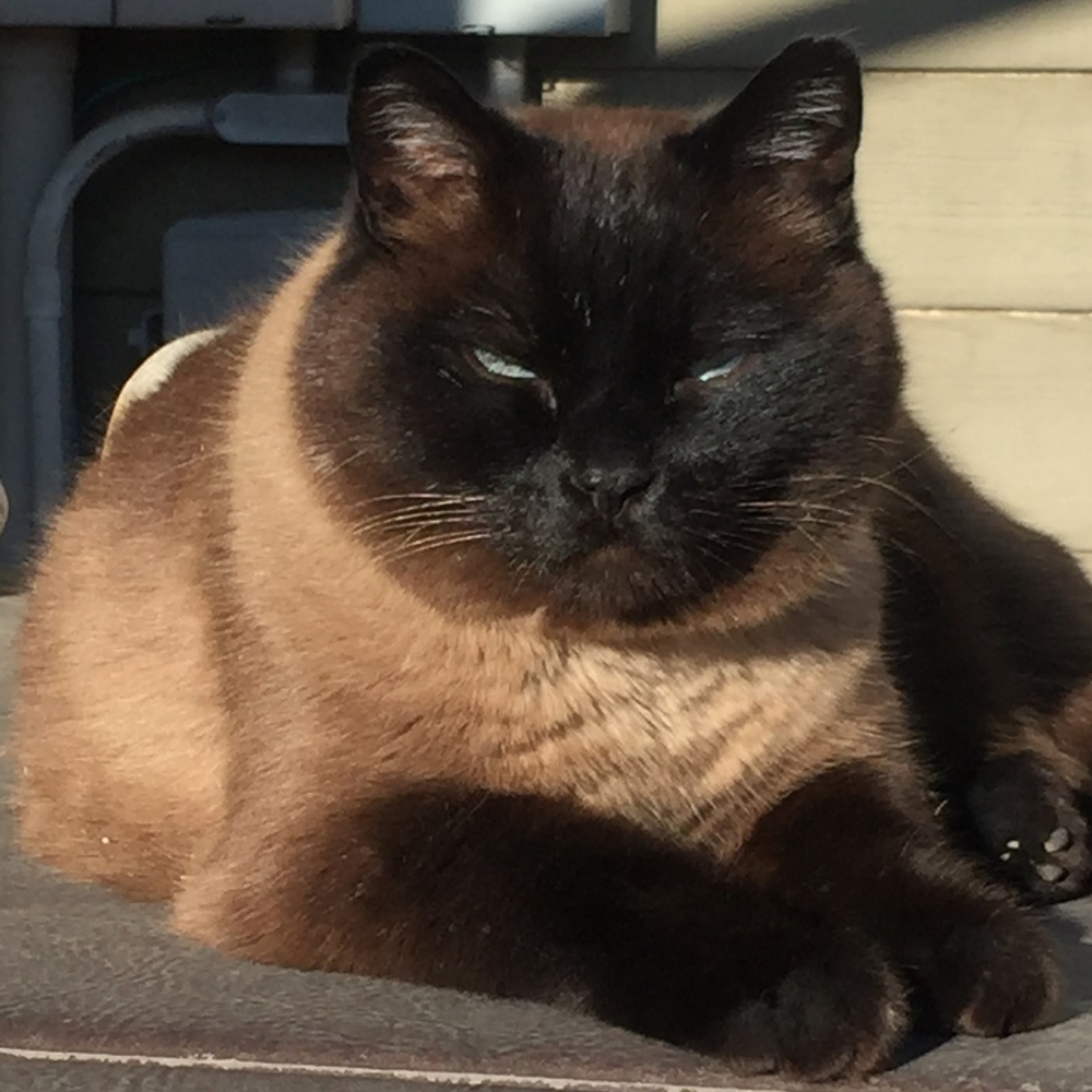 Meet your Posher, Chris